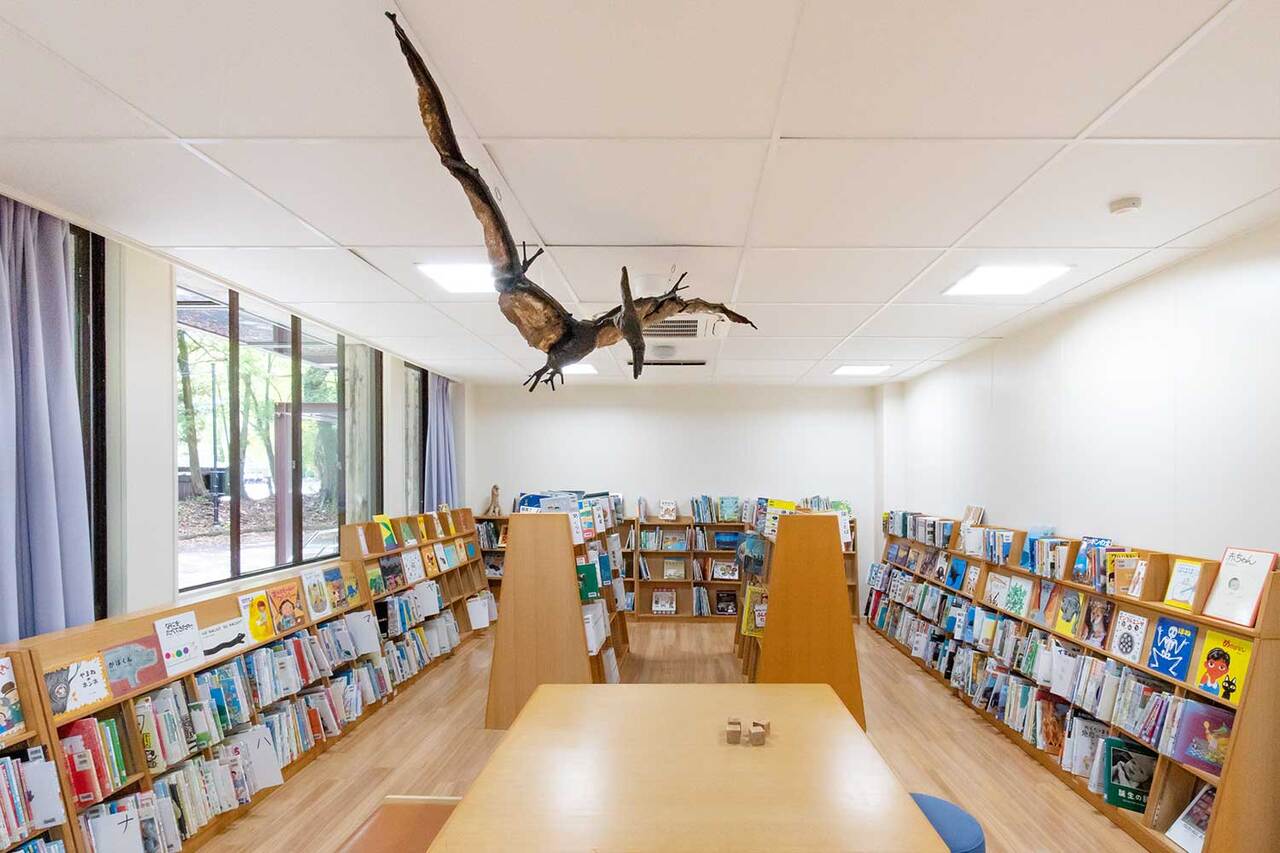 写真：本棚の上にプテラノドンの模型が飛んでいます。
