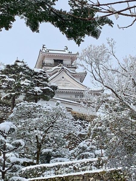写真：雪景色の高知城です。