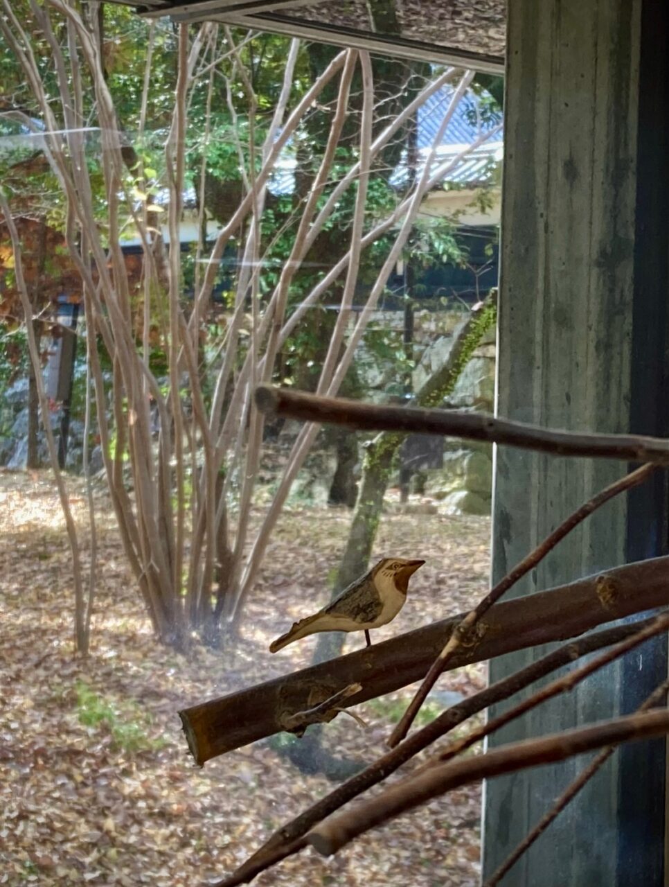写真：館内の窓際に木でできた鳥が止まっています。