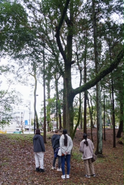 写真：子どもたちがお城の森を散歩しています。