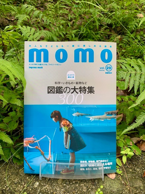 写真：雑誌MOMOの表紙です。